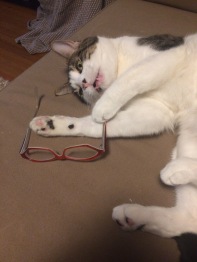 Charlie loved my glasses